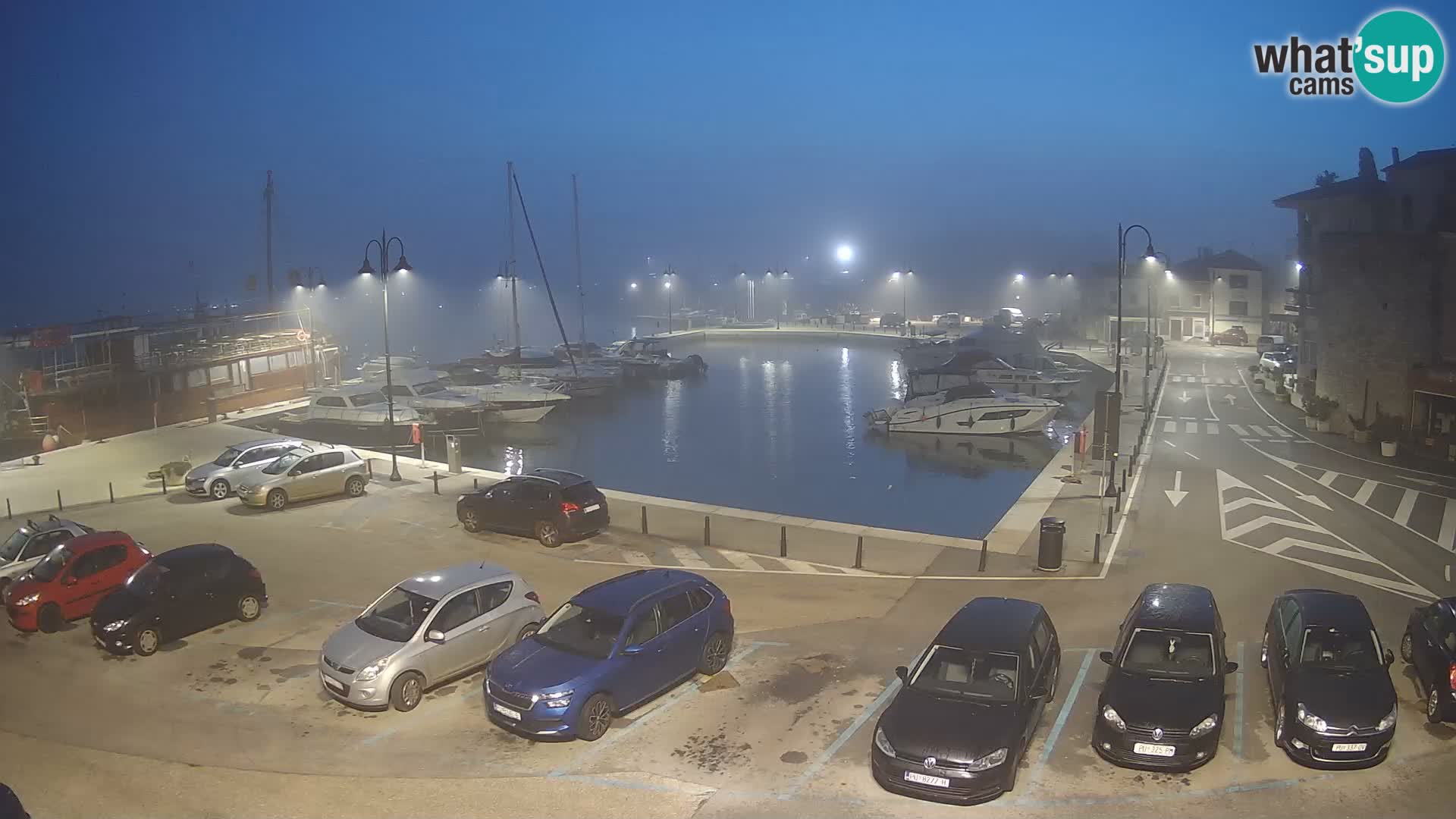 Novigrad | Porporela marina