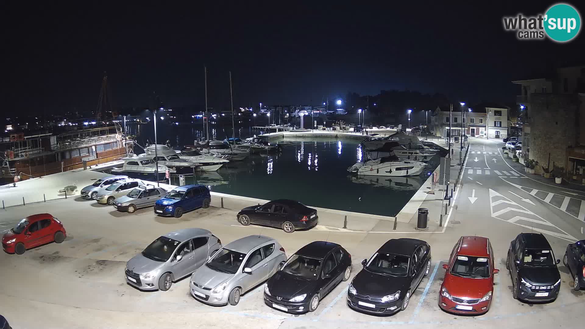 Novigrad | Porporela marina