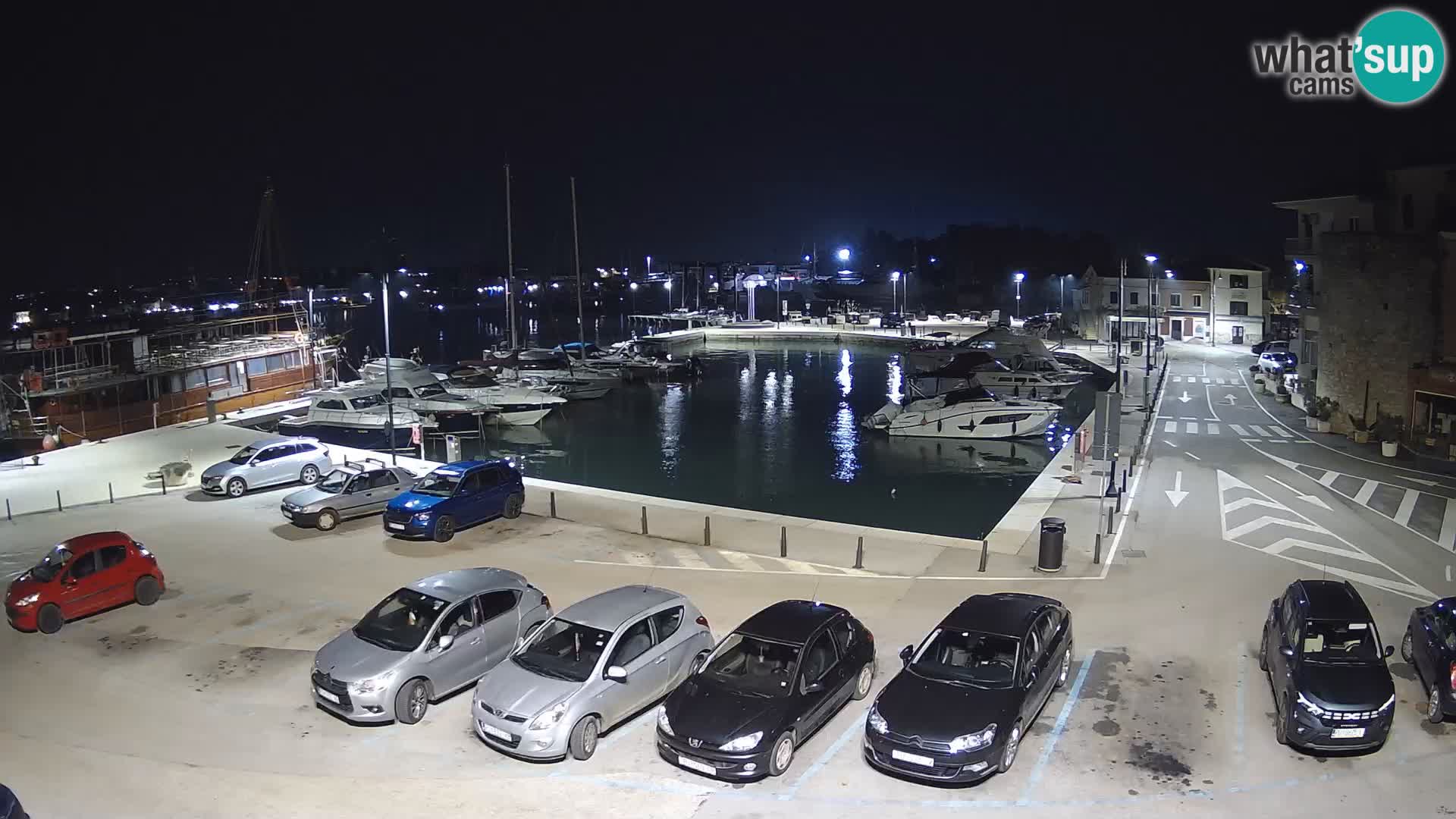 Novigrad | Porporela marina