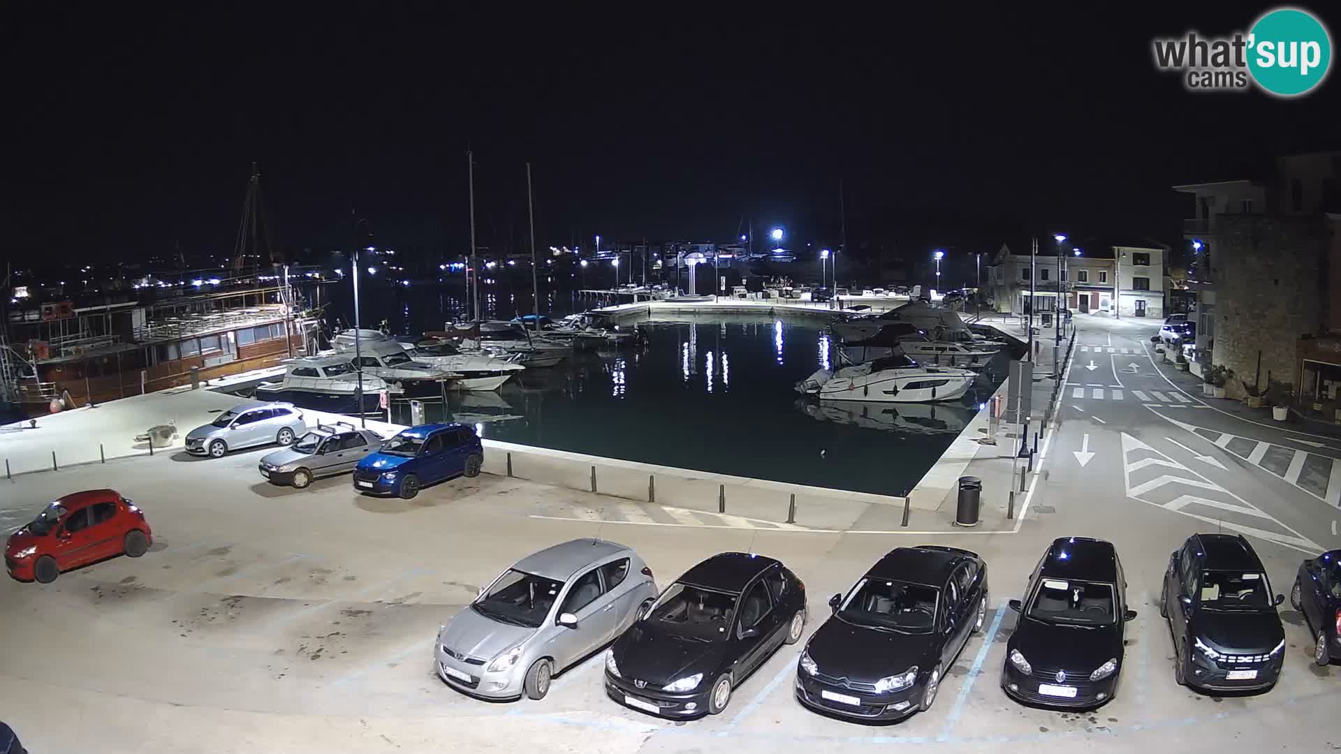 Novigrad | Porporela marina