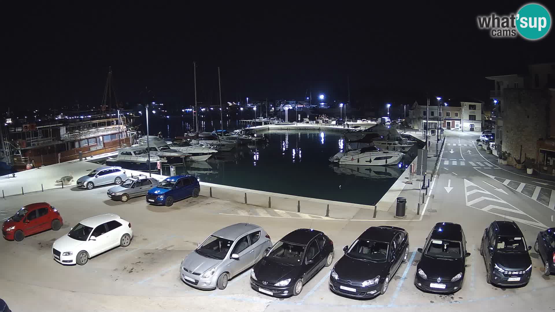 Novigrad | Porporela marina