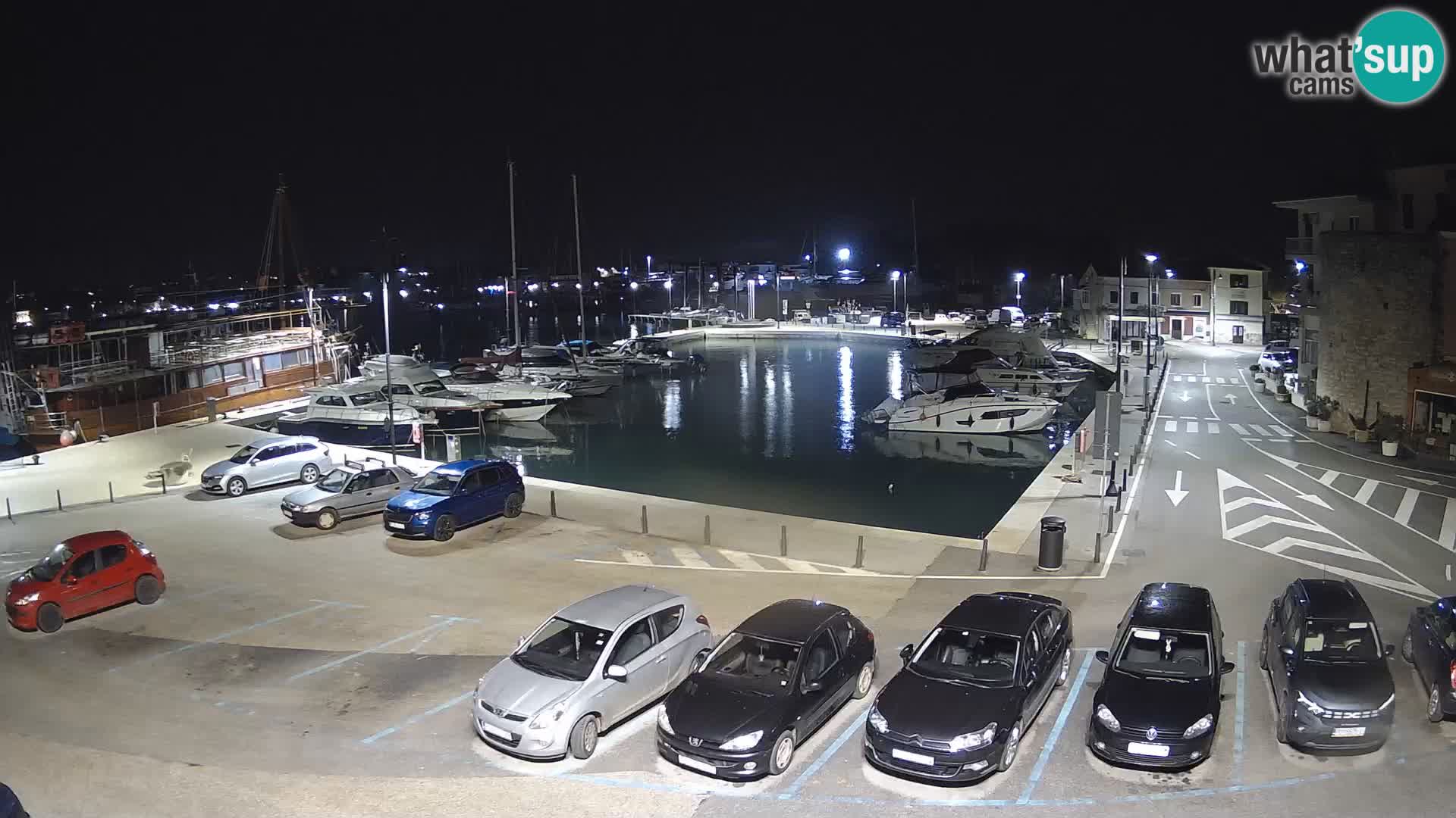 Novigrad | Porporela marina