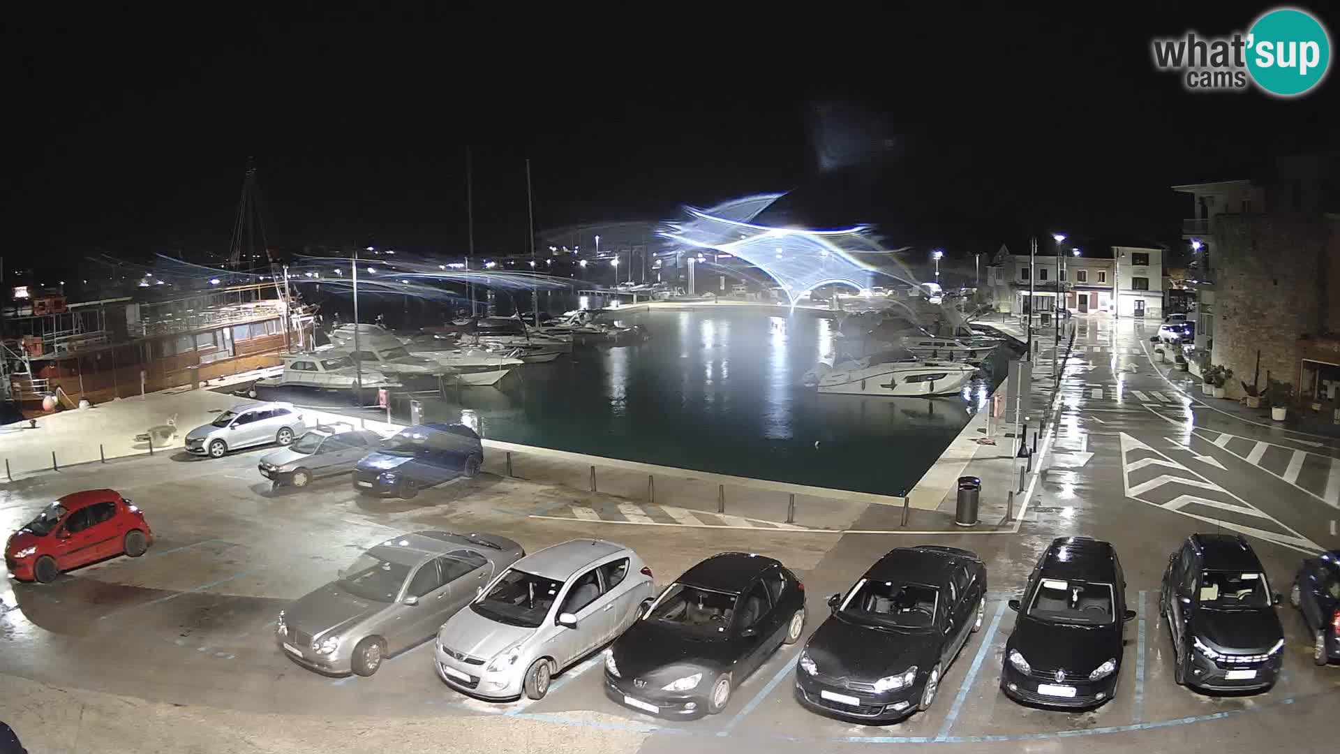 Novigrad | Porporela marina