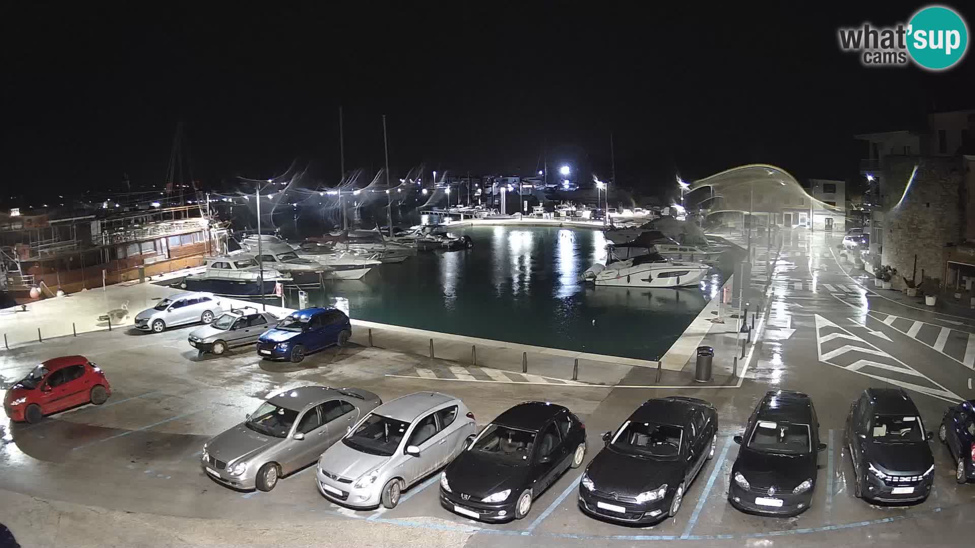 Novigrad | Porporela marina