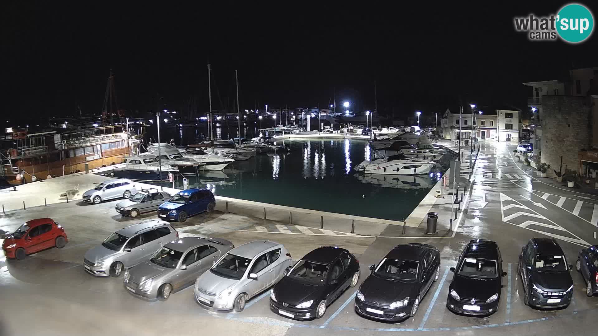 Novigrad | Porporela marina