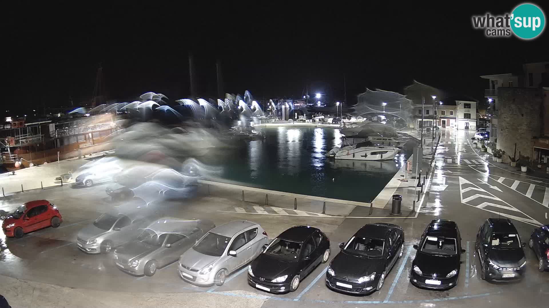 Novigrad | Porporela marina