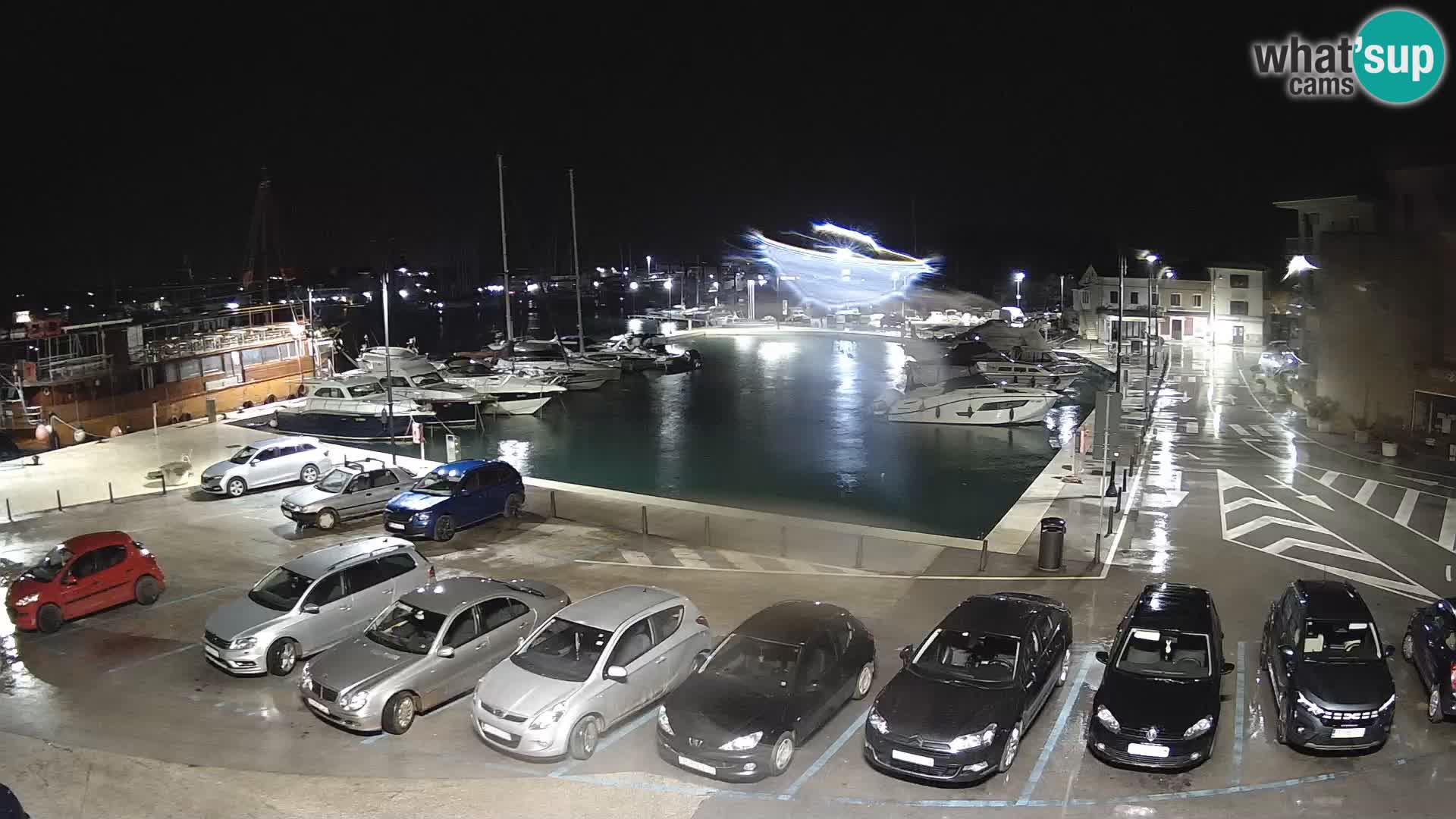 Novigrad | Porporela marina