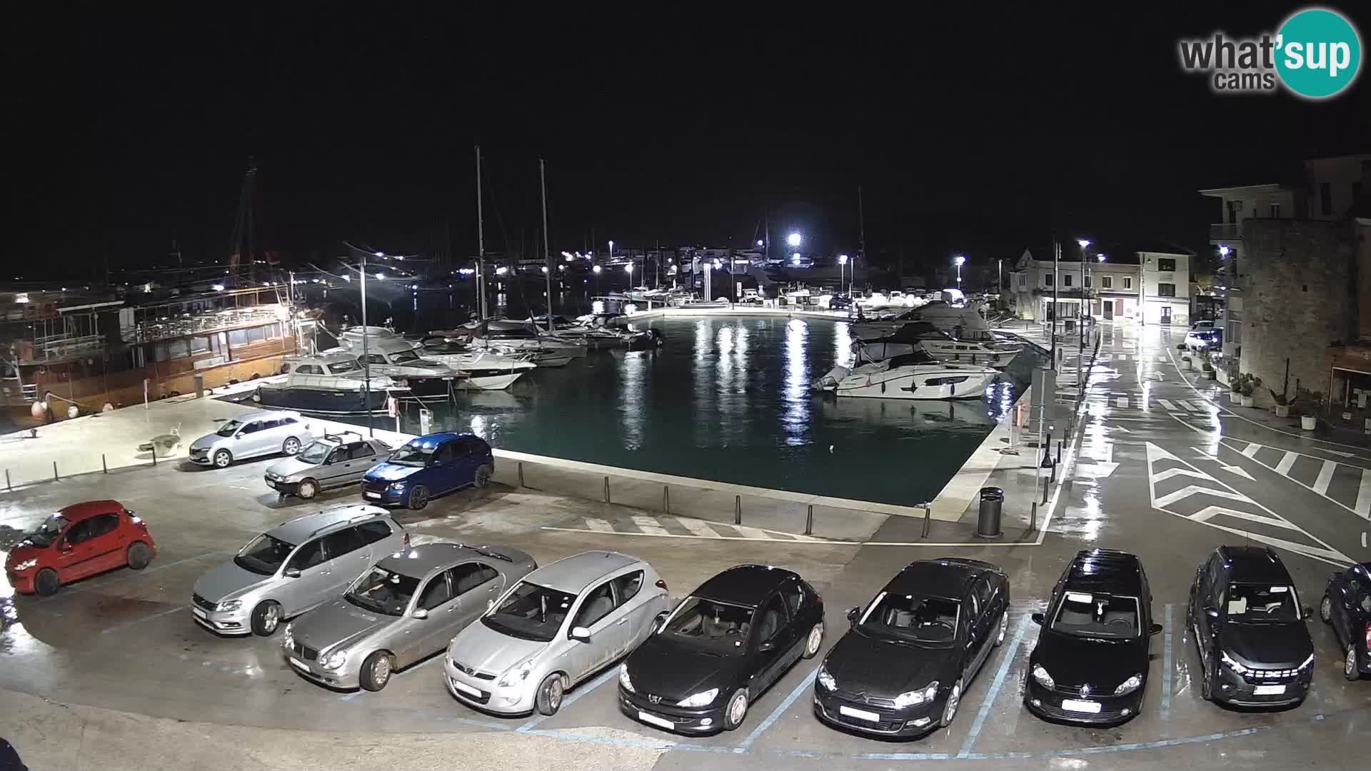 Novigrad | Porporela marina