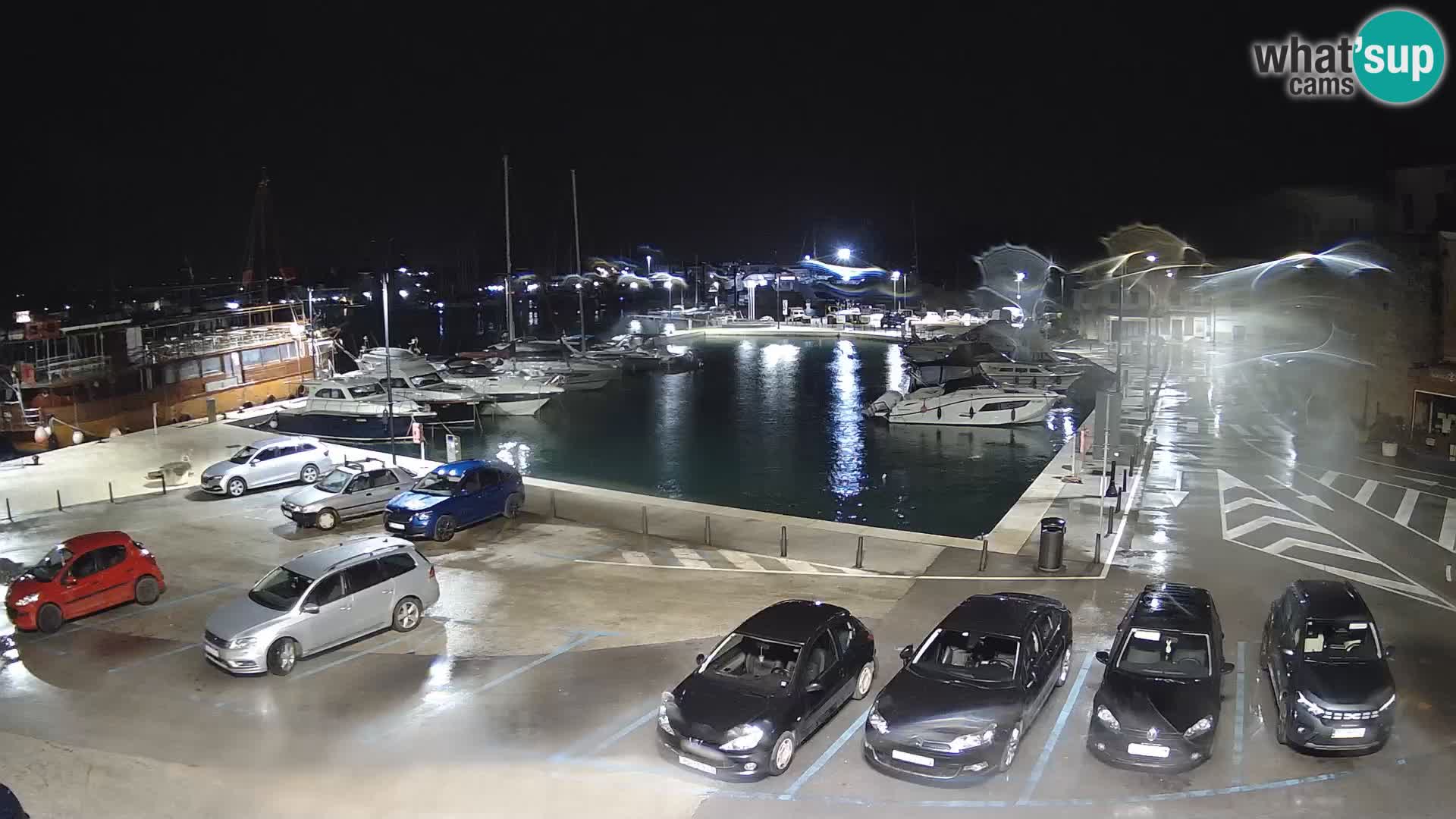 Novigrad | Porporela marina