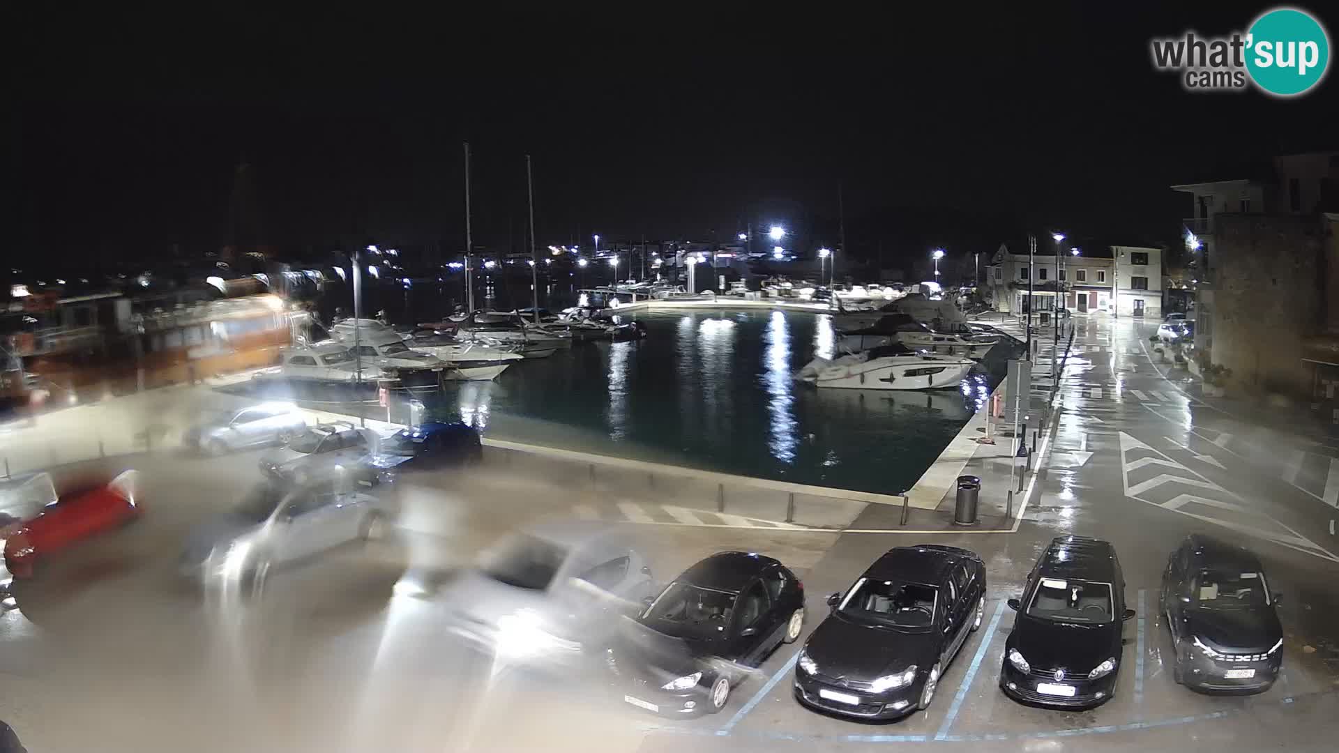 Novigrad | Porporela marina