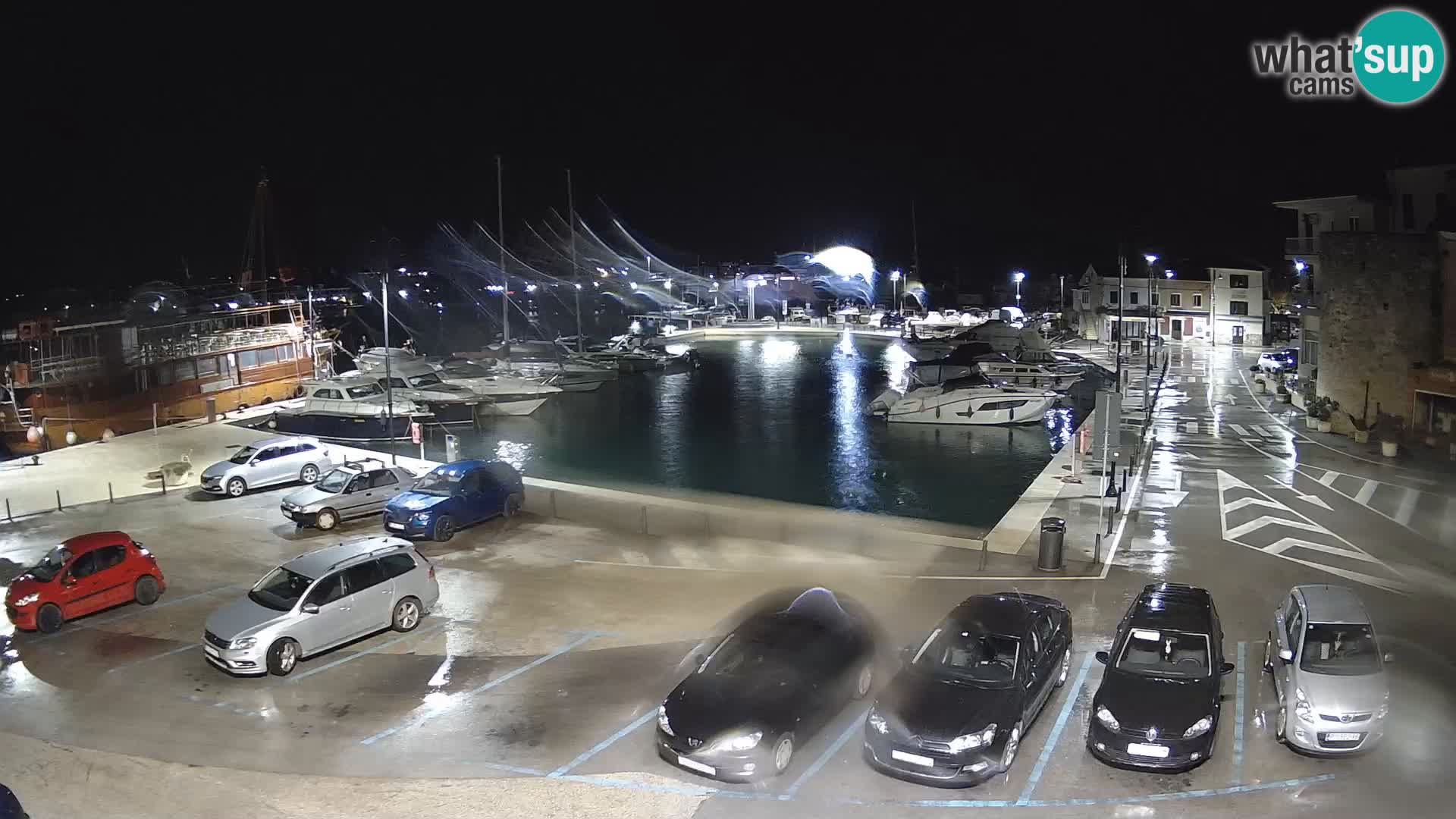 Novigrad | Porporela marina