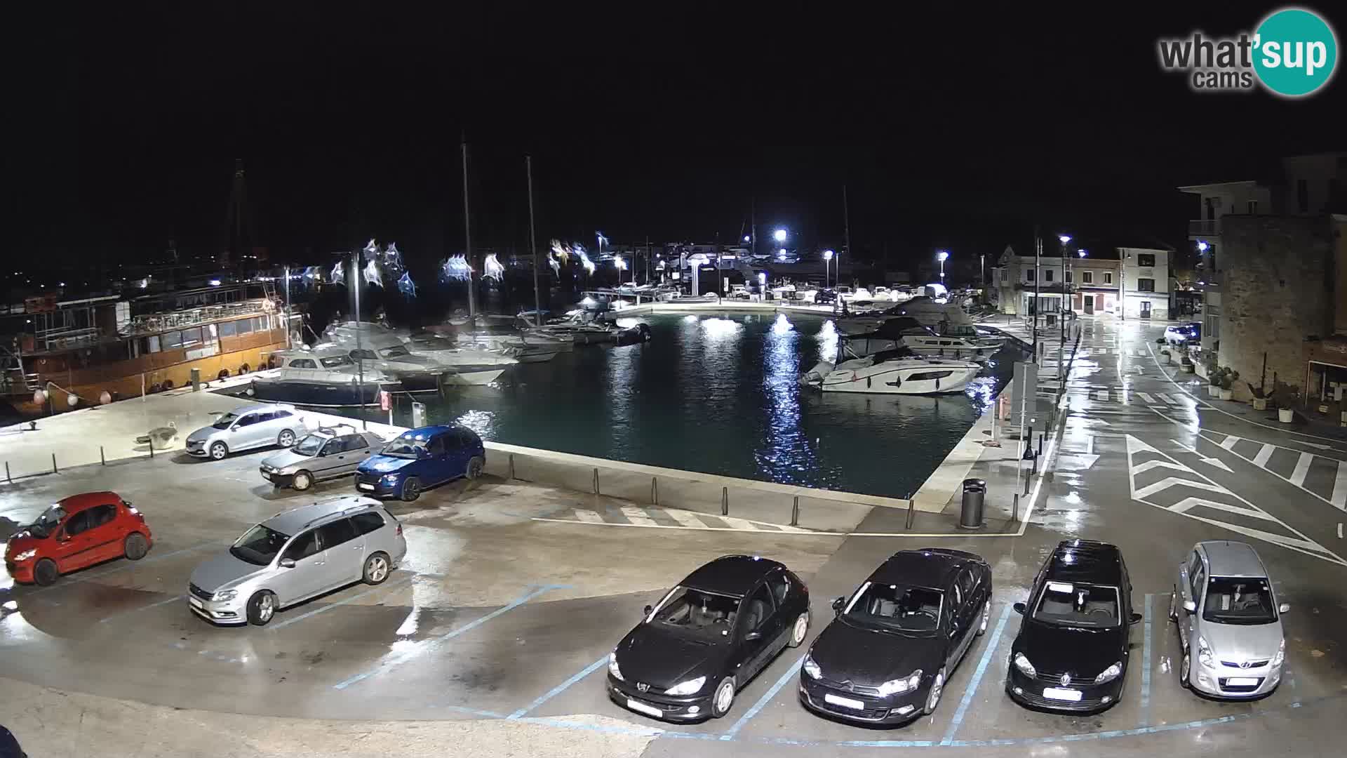 Novigrad | Porporela marina