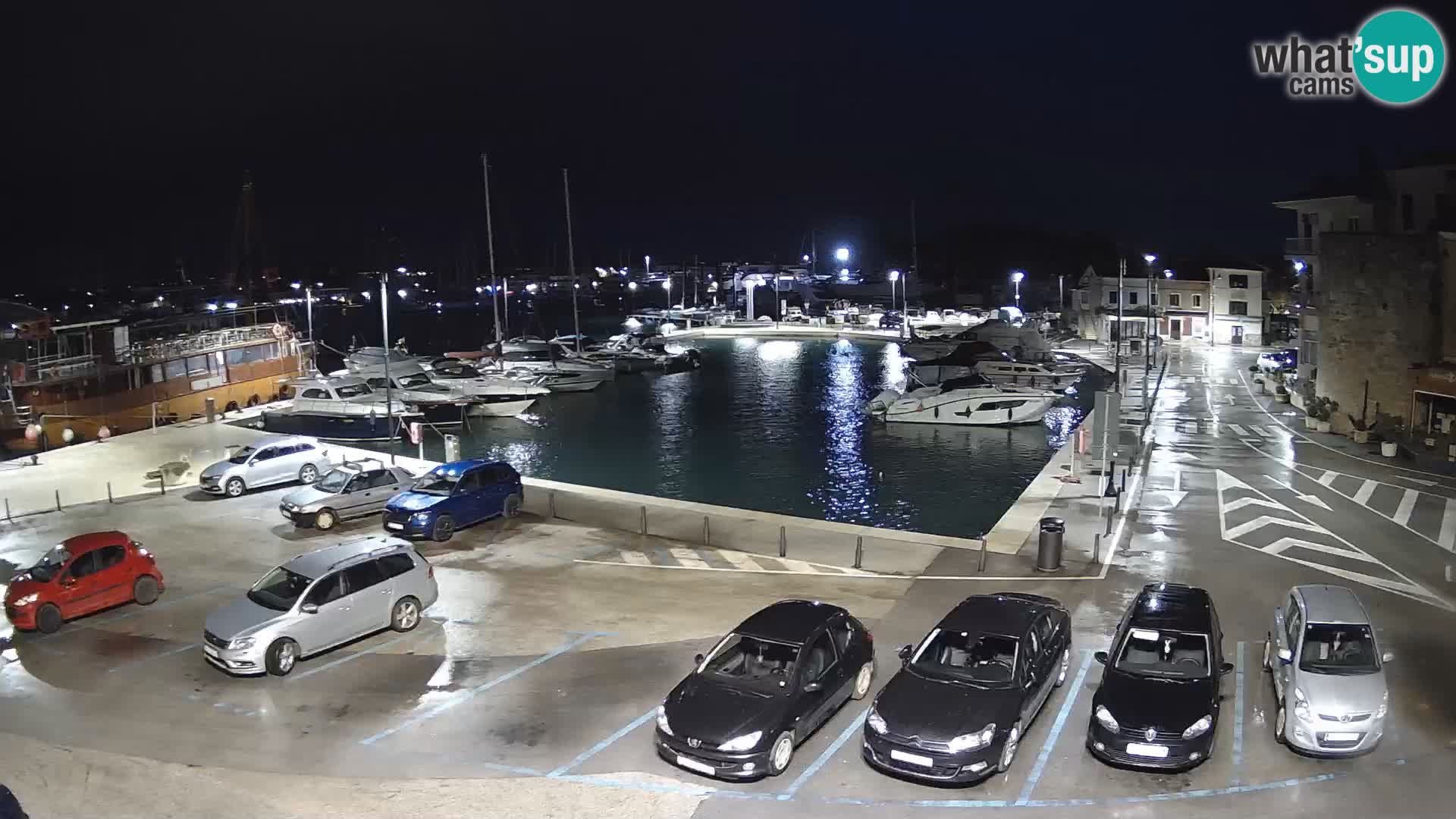 Novigrad | Porporela marina