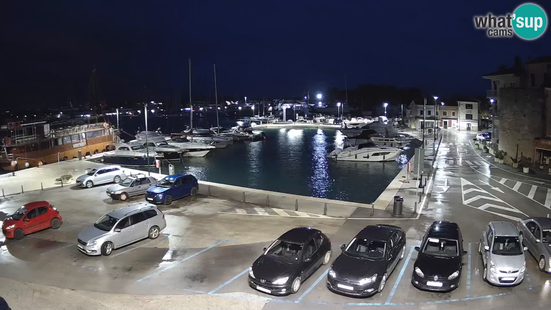 Novigrad | Porporela marina