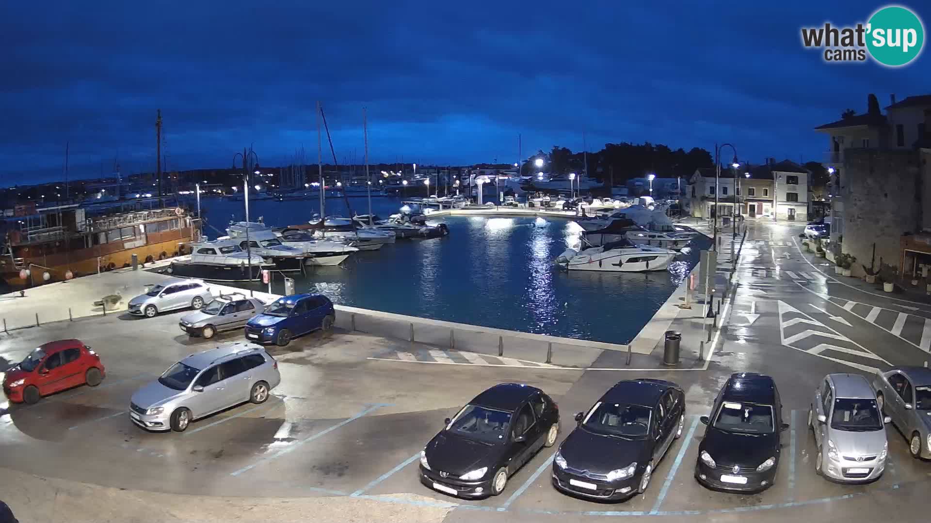 Novigrad | Porporela marina