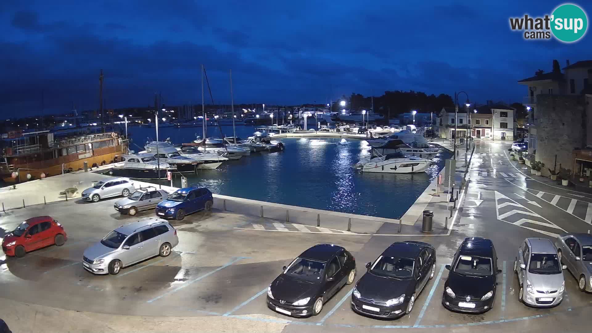 Novigrad | Porporela marina