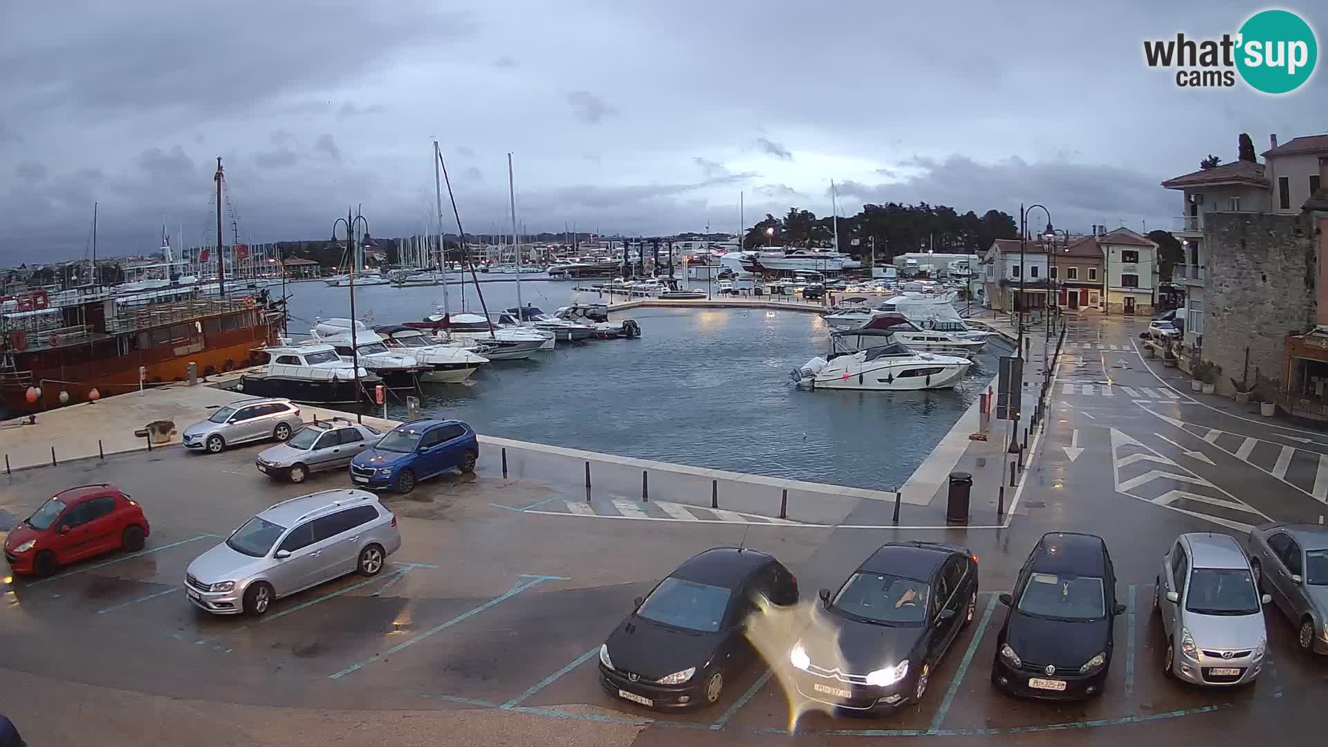 Novigrad | Porporela marina