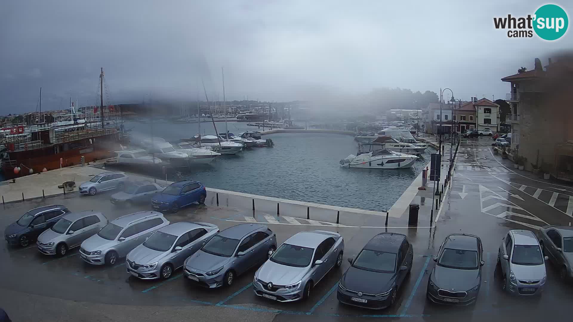 Novigrad | Porporela marina