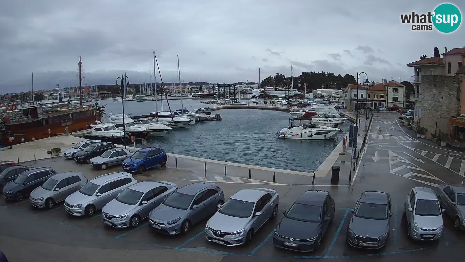 Novigrad | Porporela marina