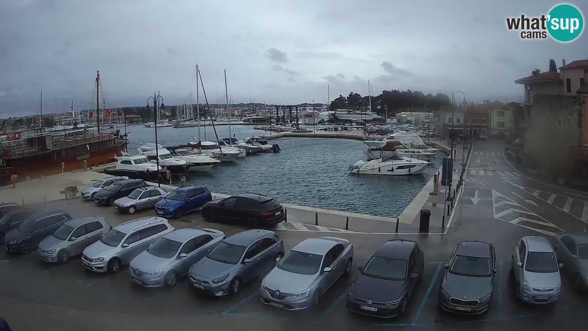 Novigrad | Porporela marina