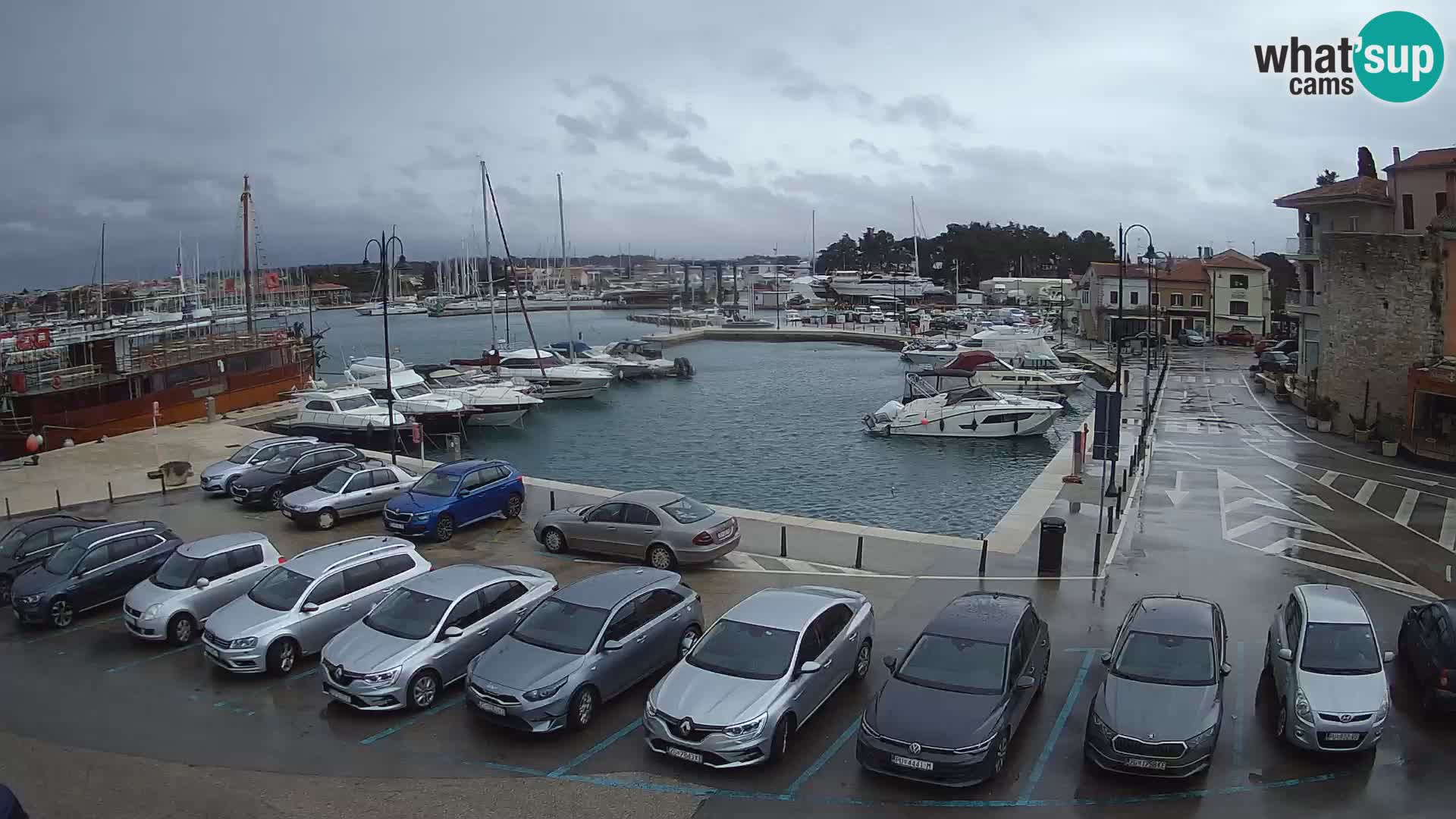 Novigrad | Porporela marina