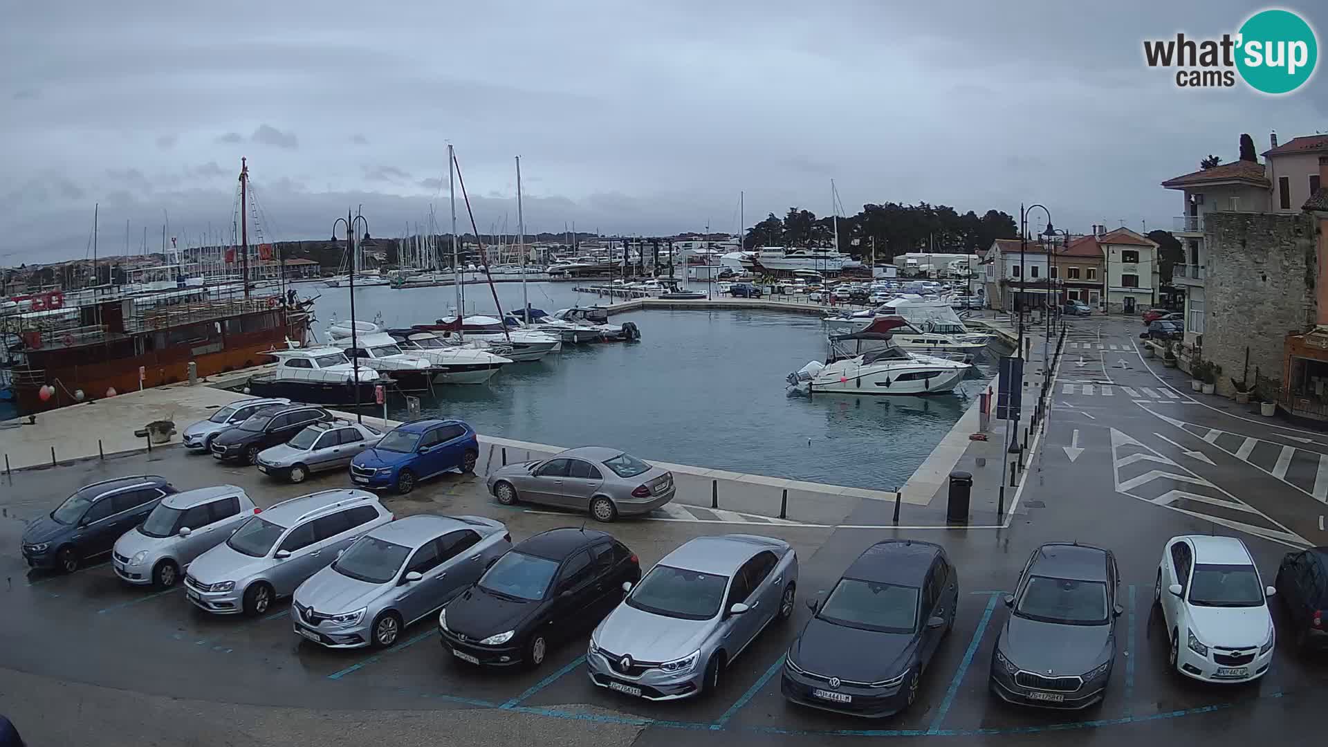 Novigrad | Porporela marina