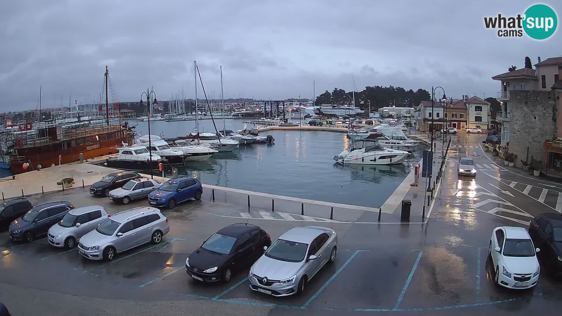 Novigrad | Porporela marina