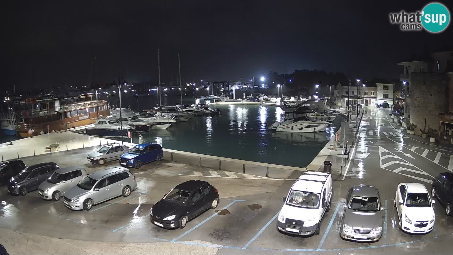 Novigrad | Porporela marina
