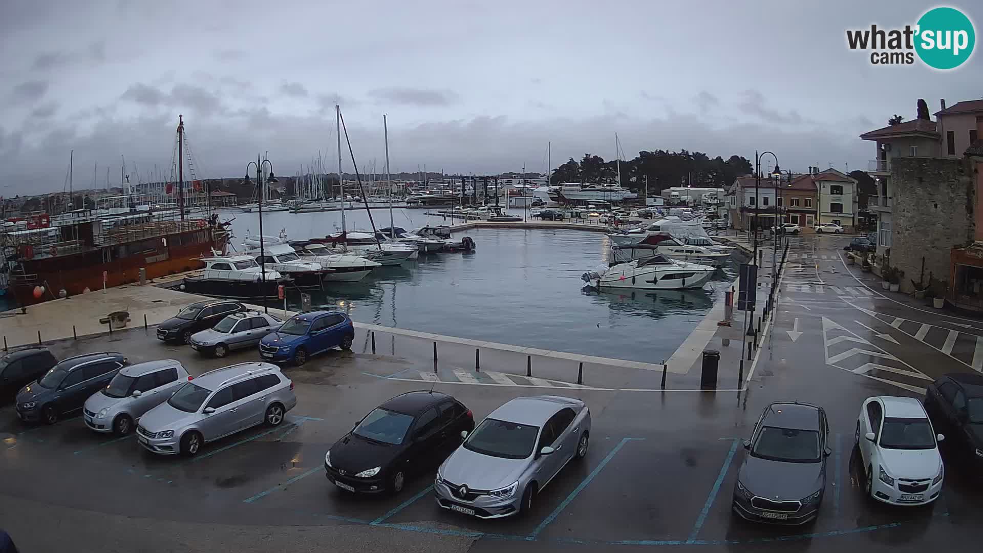 Novigrad | Porporela marina