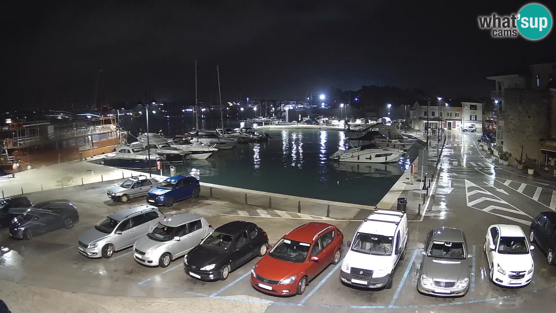 Novigrad | Porporela marina