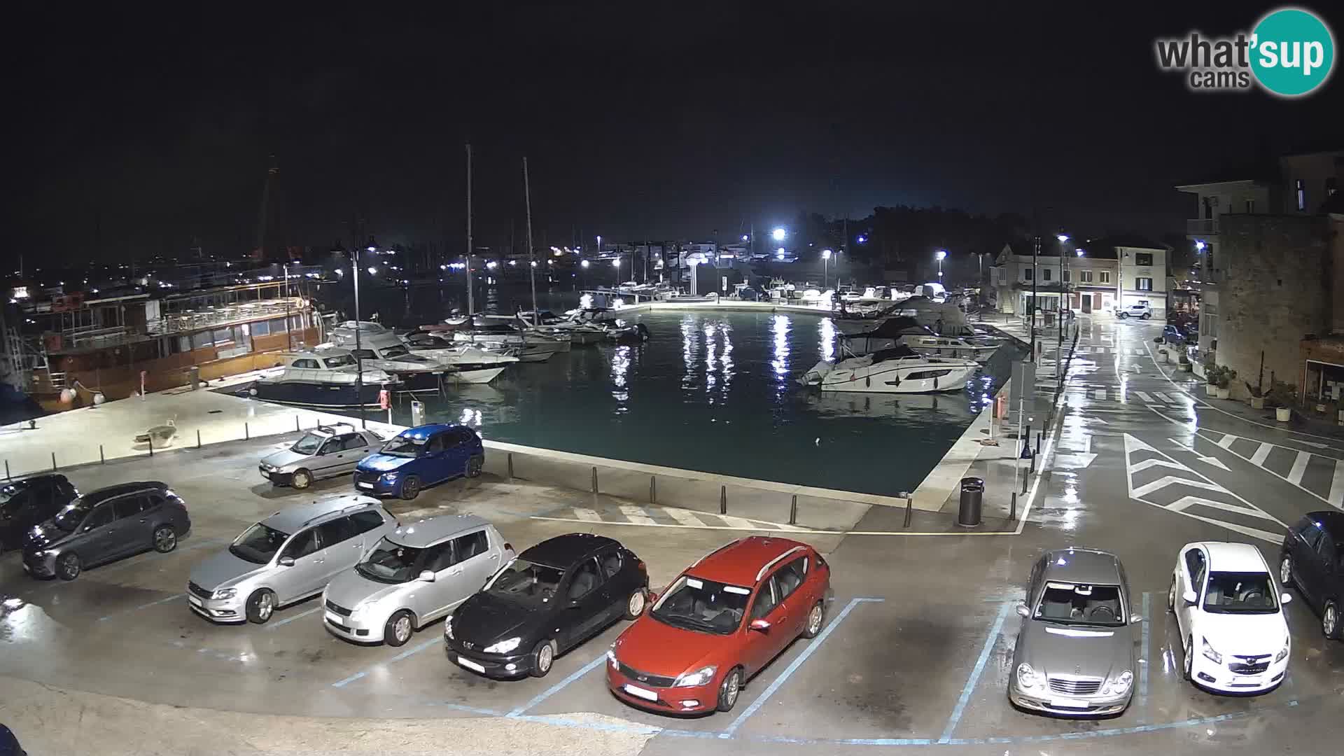 Novigrad | Porporela marina