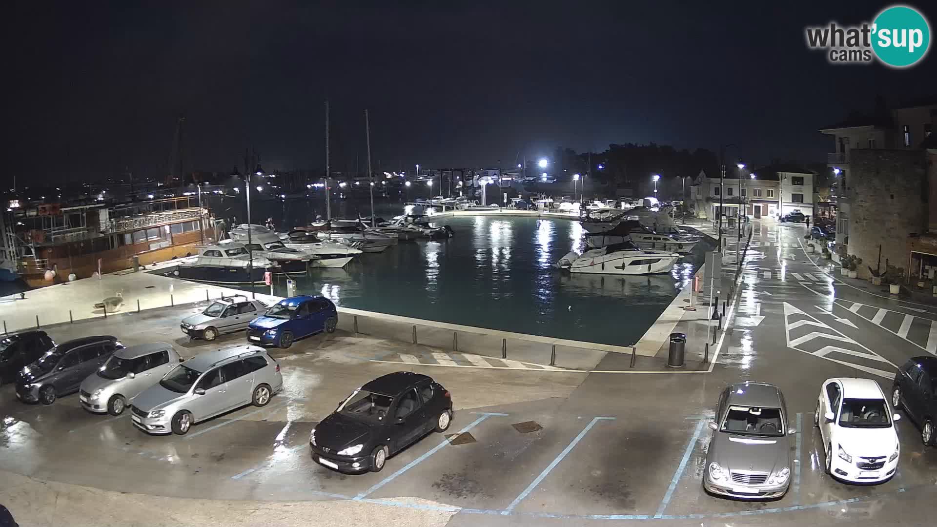 Novigrad | Porporela marina