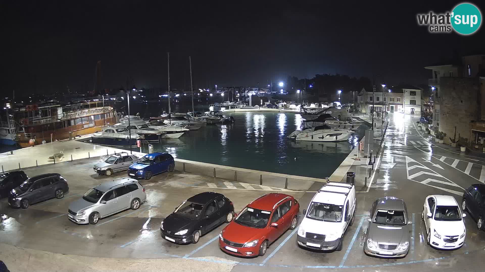 Novigrad | Porporela marina