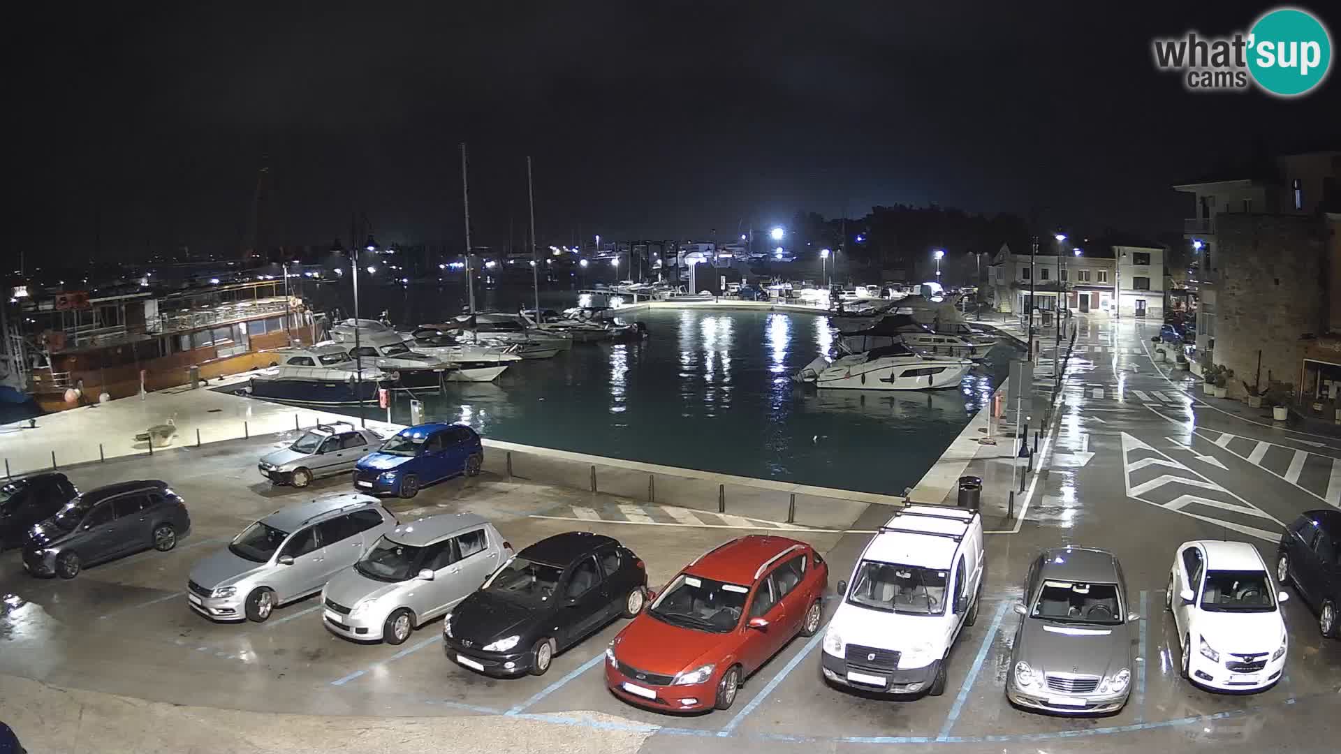 Novigrad | Porporela marina