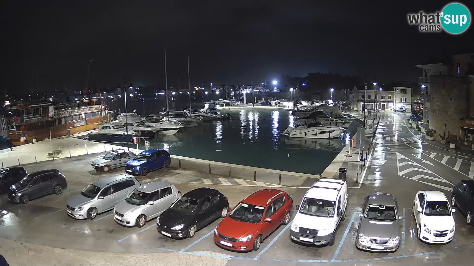 Novigrad | Porporela marina