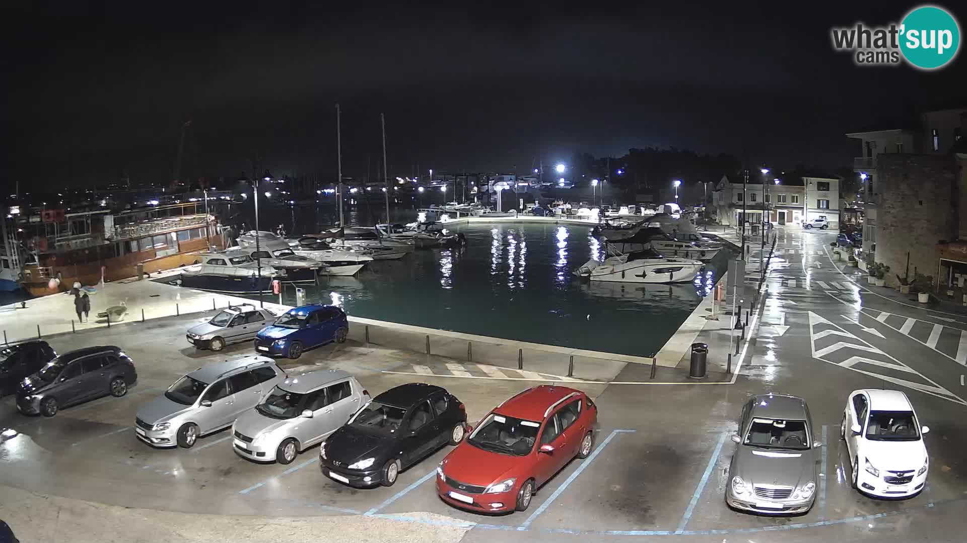 Novigrad | Porporela marina