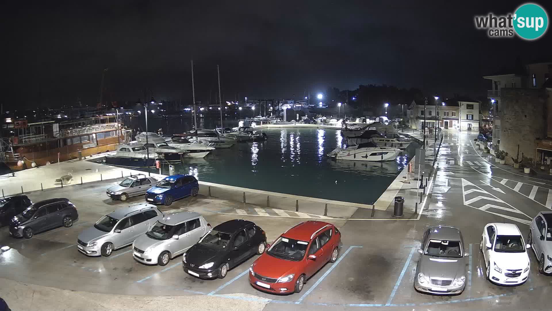 Novigrad | Porporela marina