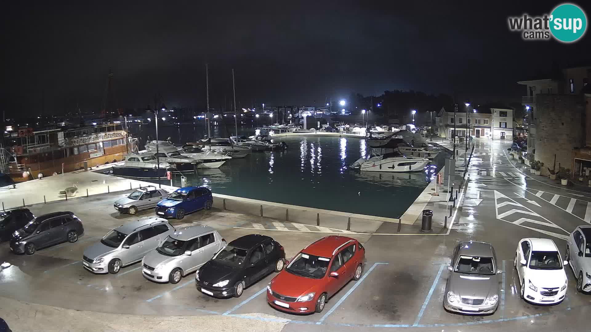 Novigrad | Porporela marina