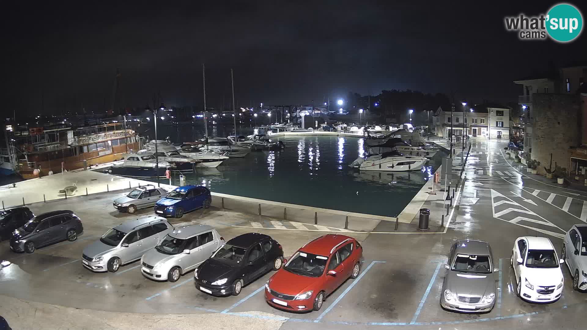 Novigrad | Porporela marina