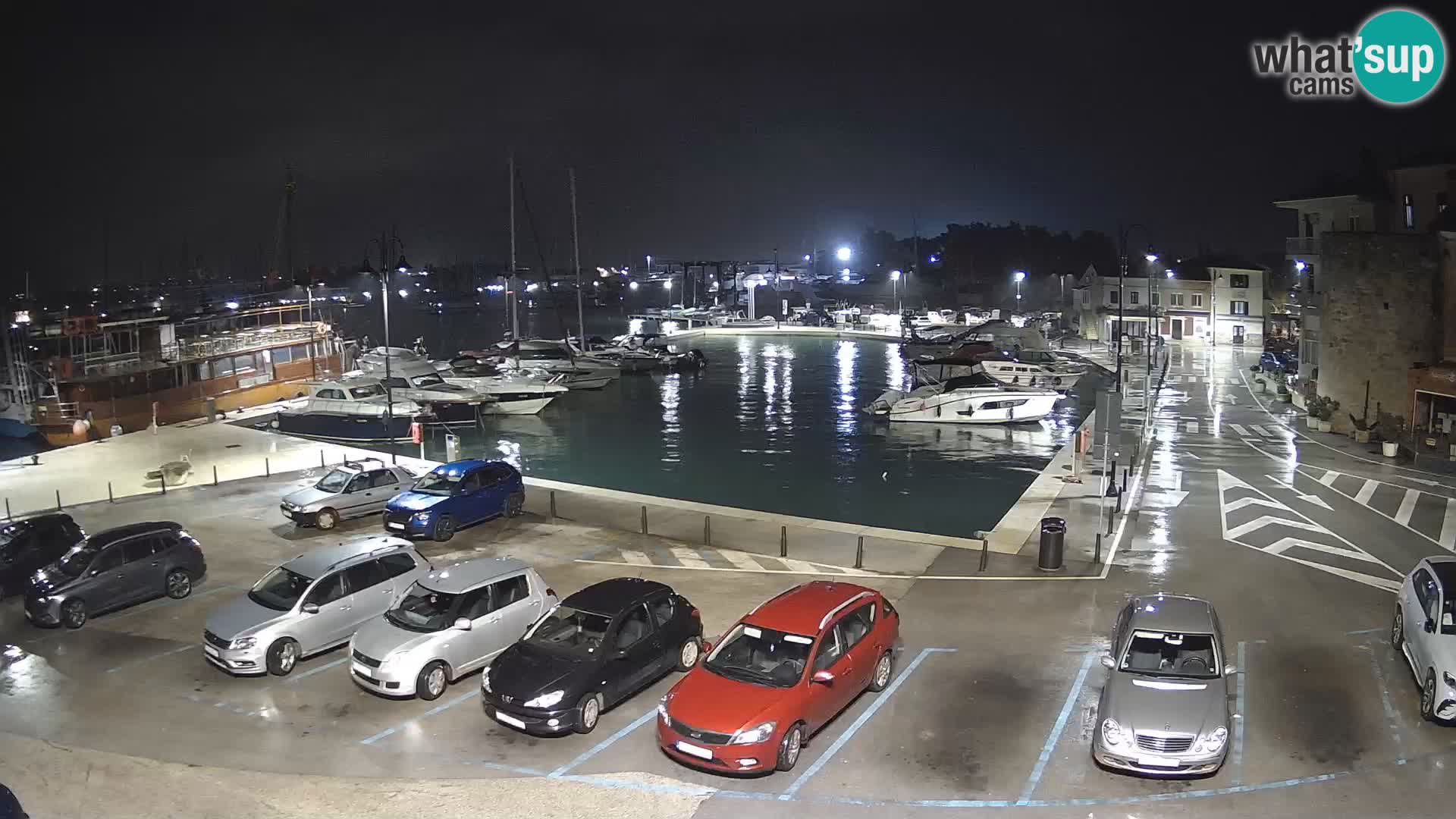 Novigrad | Porporela marina