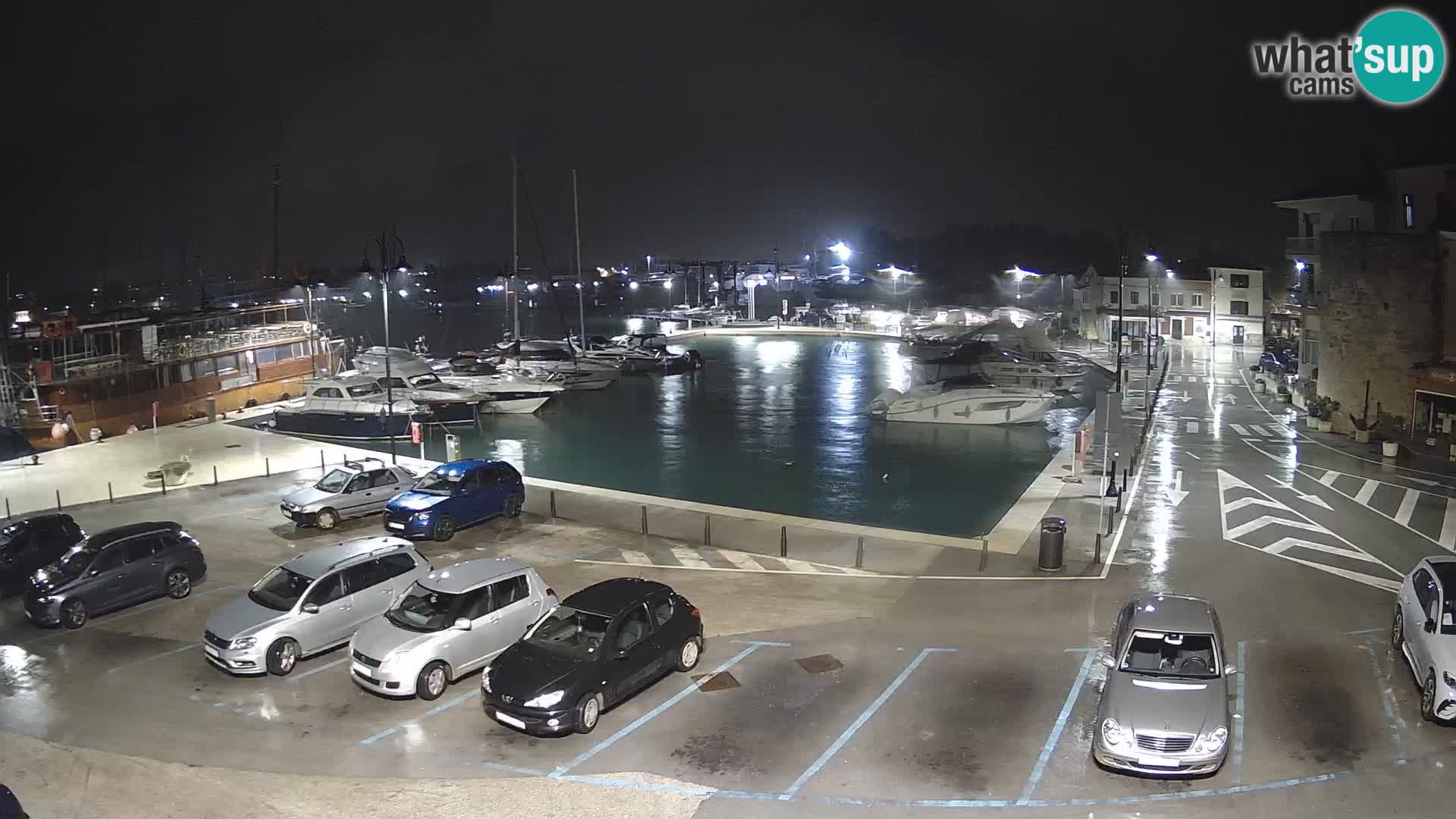 Novigrad | Porporela marina