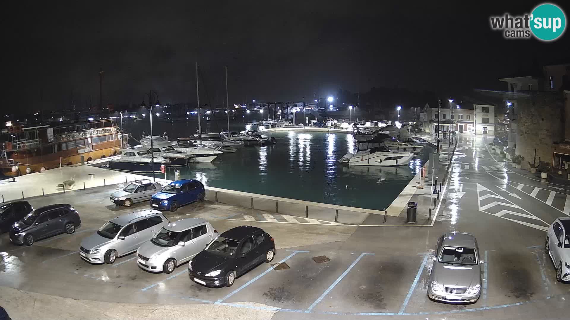 Novigrad | Porporela marina