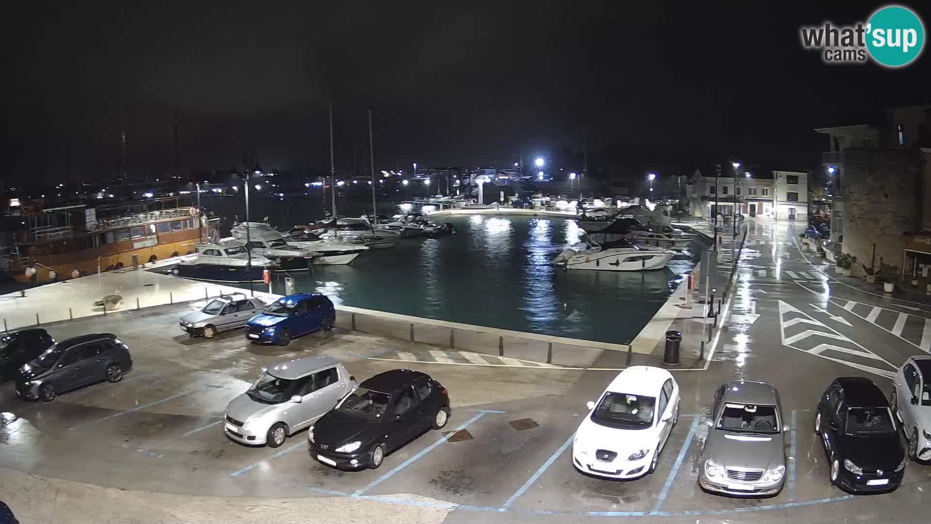 Novigrad | Porporela marina