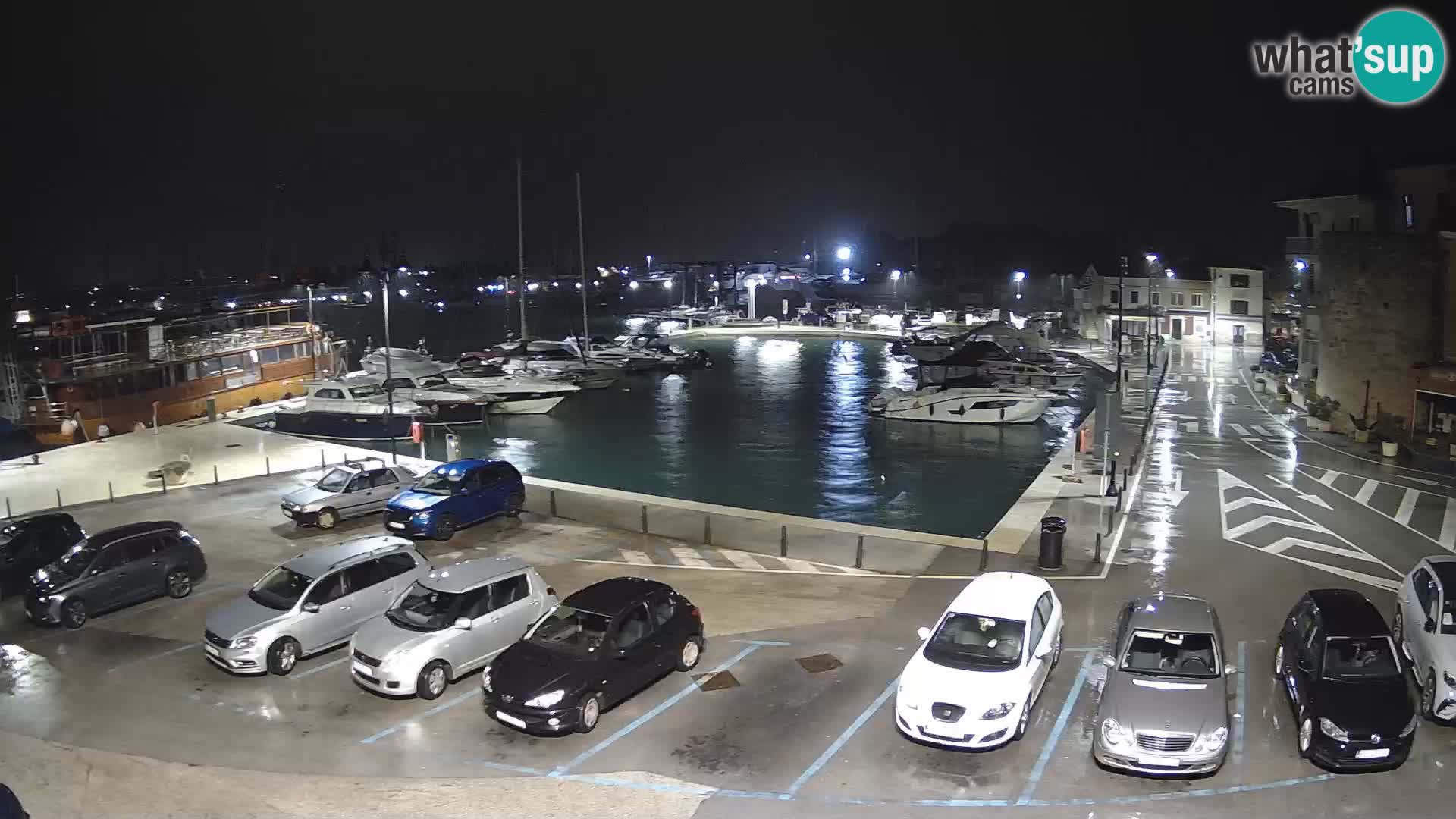 Novigrad | Porporela marina