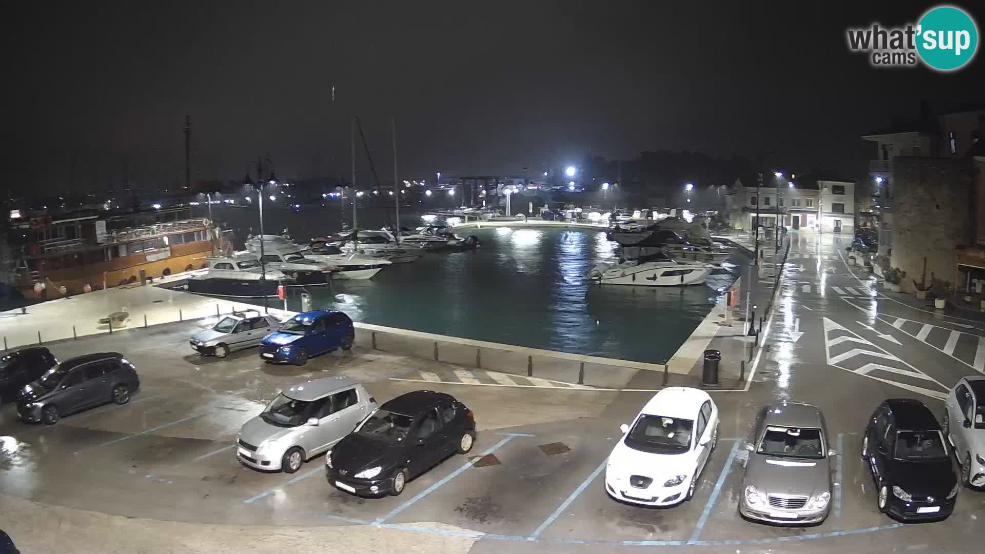 Novigrad | Porporela marina