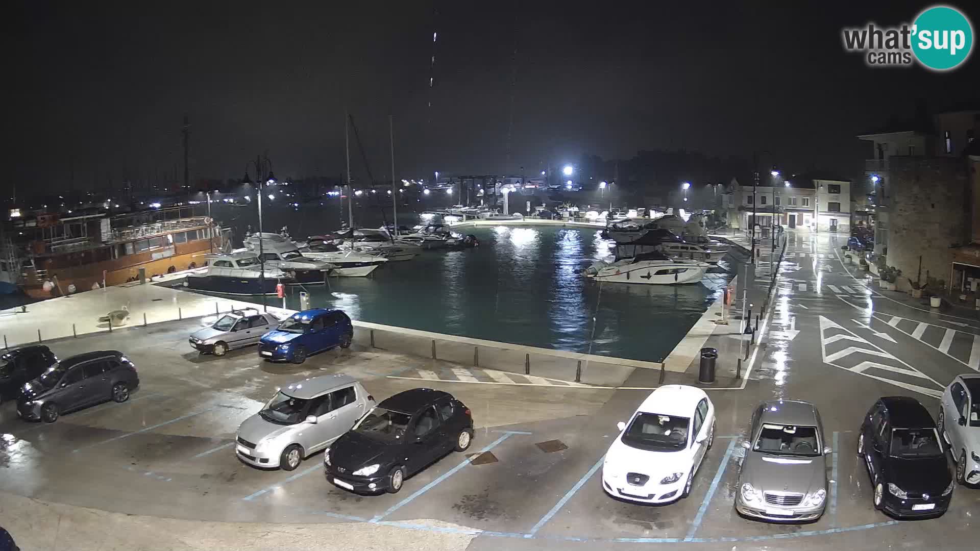 Novigrad | Porporela marina