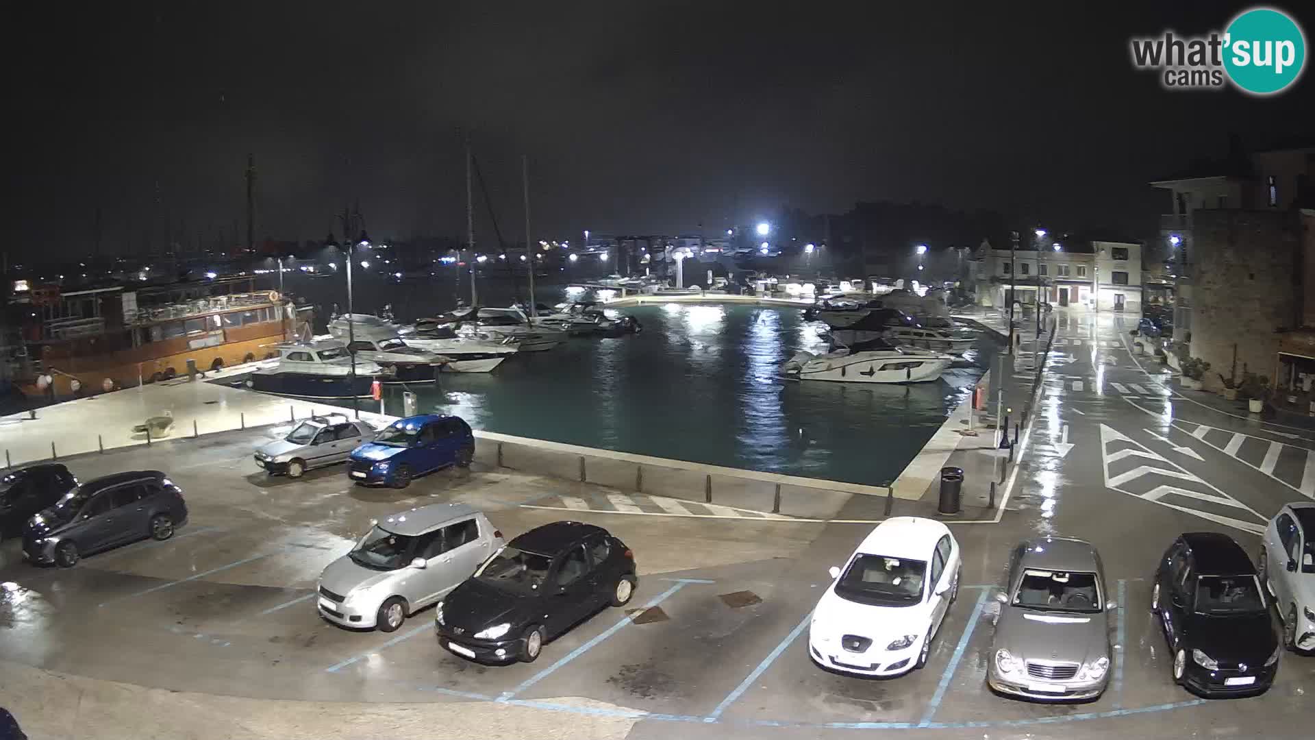 Novigrad | Porporela marina