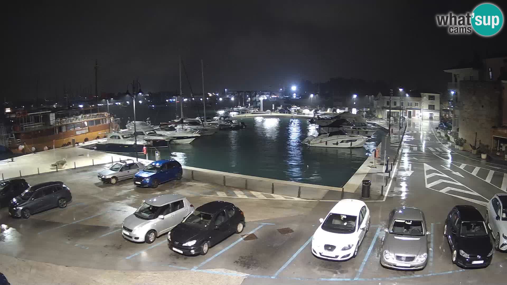 Novigrad | Porporela marina