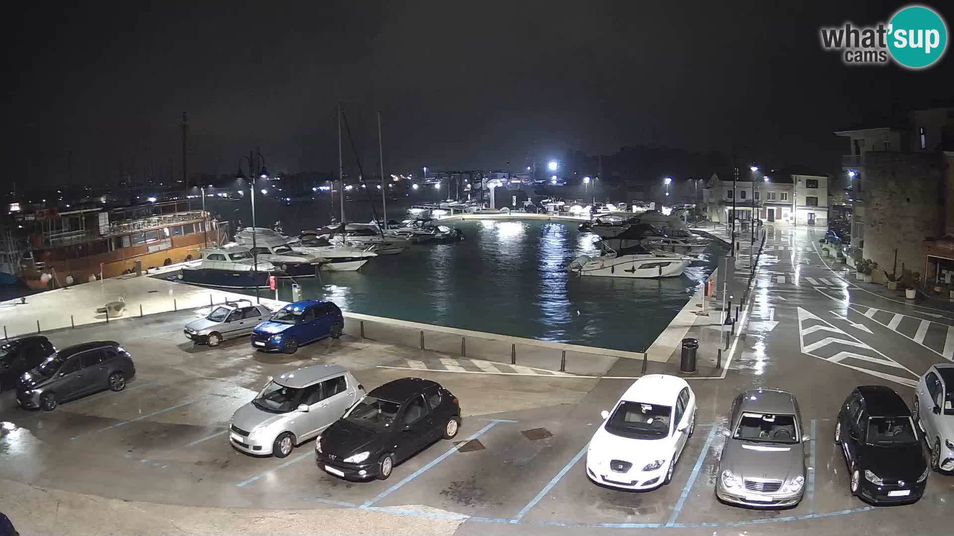 Novigrad | Porporela marina