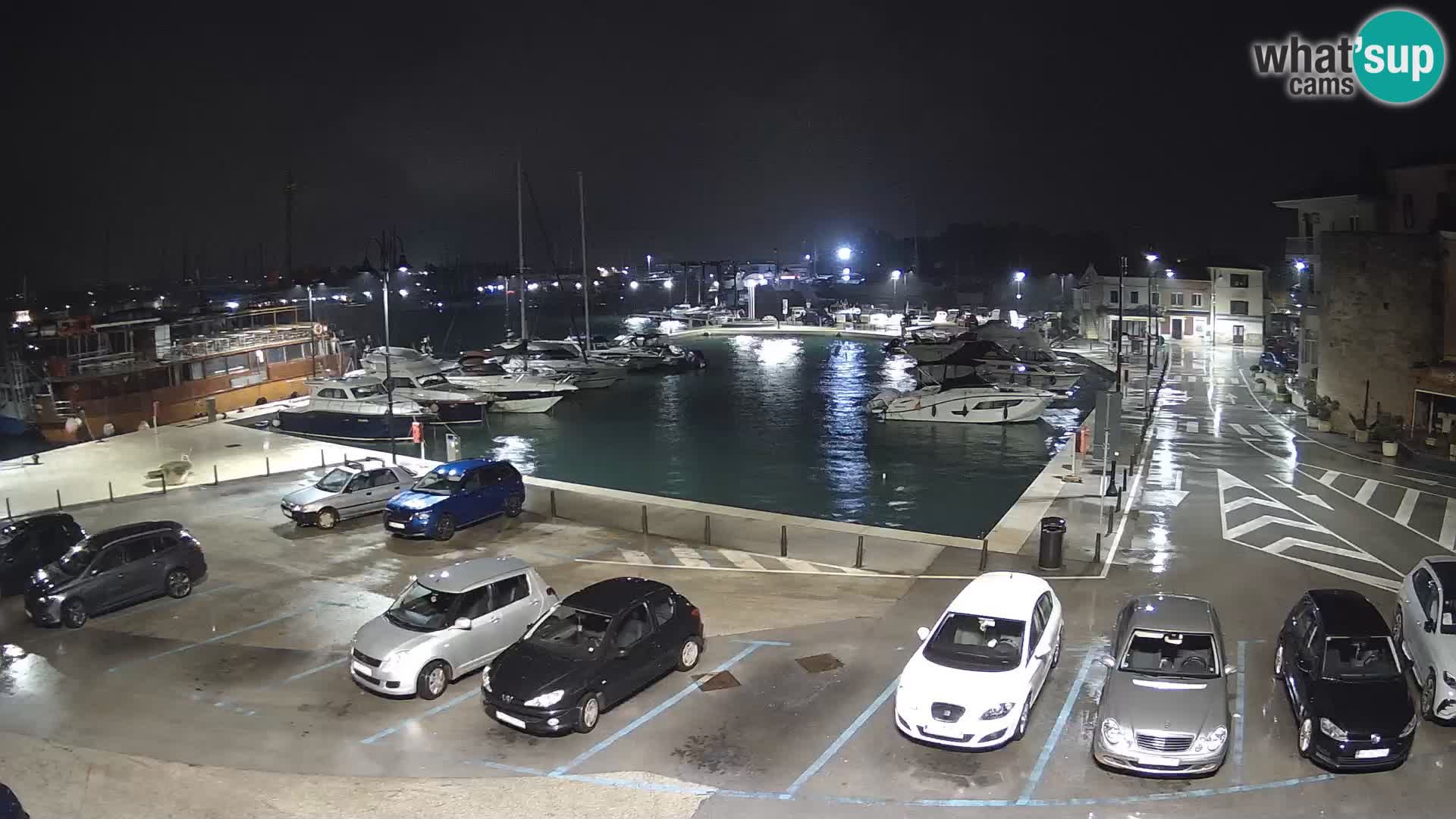 Novigrad | Porporela marina